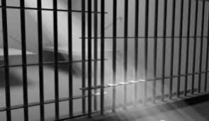 ԱՆ ՔԿՎ–ն՝ «Սասնա ծռերի» բուժման ու խնամքի մասին